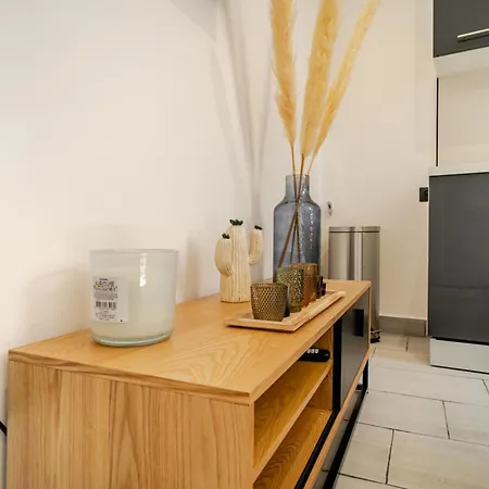 Cocon Elegant En Plein Centre De * Perpignan